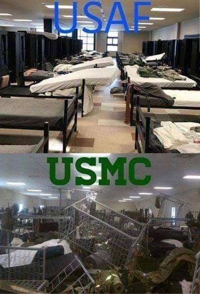 Gun Fanatics tweet media