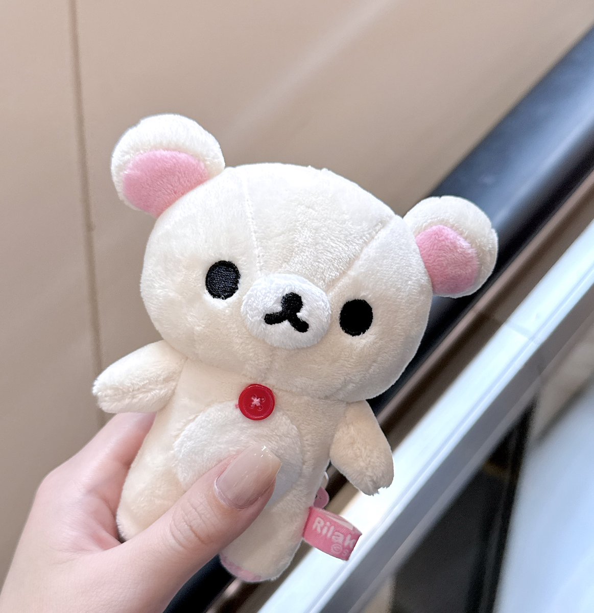 とろろ昆布🐻🍓 tweet media