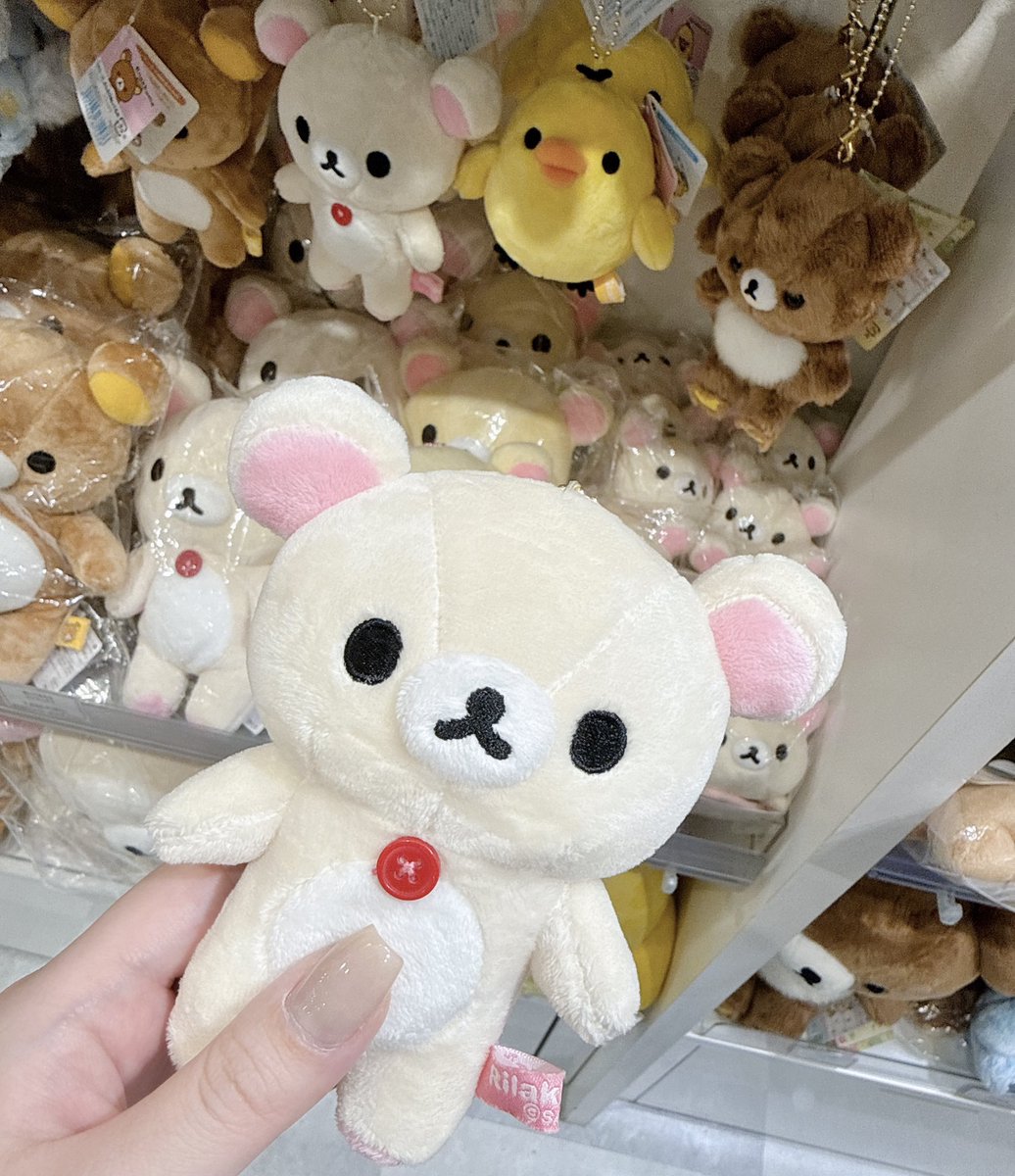 とろろ昆布🐻🍓 tweet media