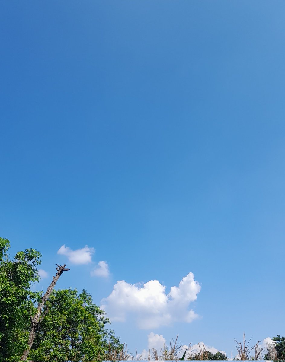 BUKAN MIIA 🫒🔻 tweet media