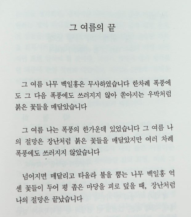 감우(甘雨) tweet media