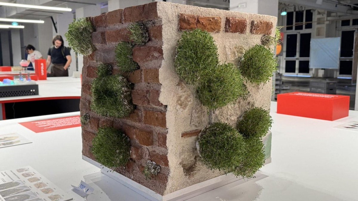 omicrono tweet media