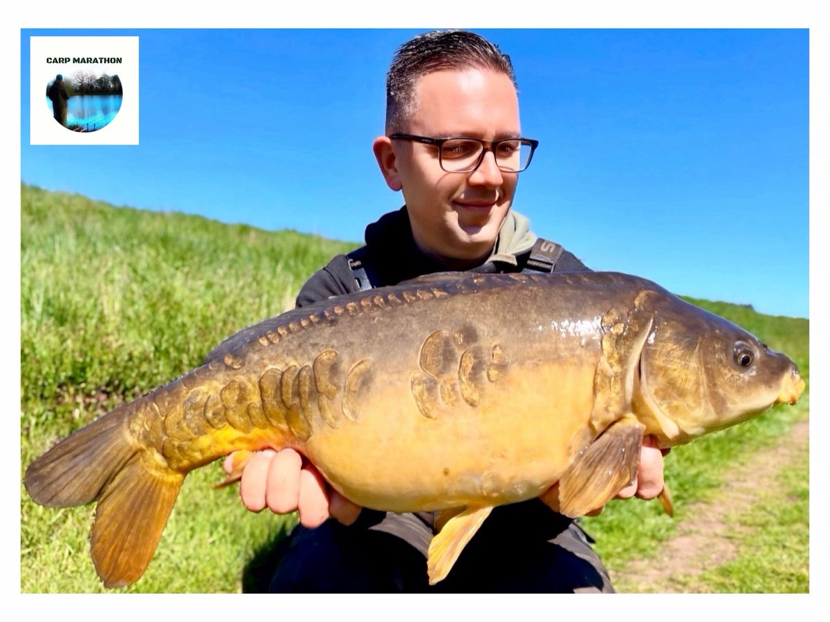 Carp Marathon tweet media