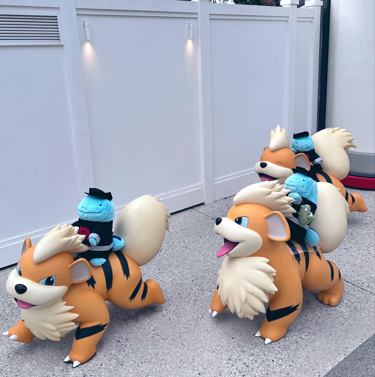 かぬお tweet media