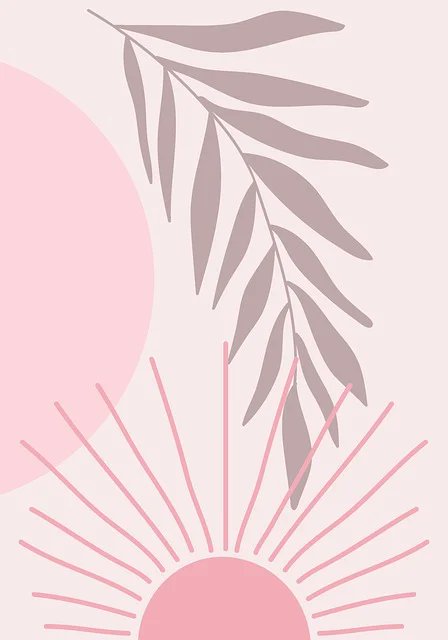 Rodney Evans tweet media