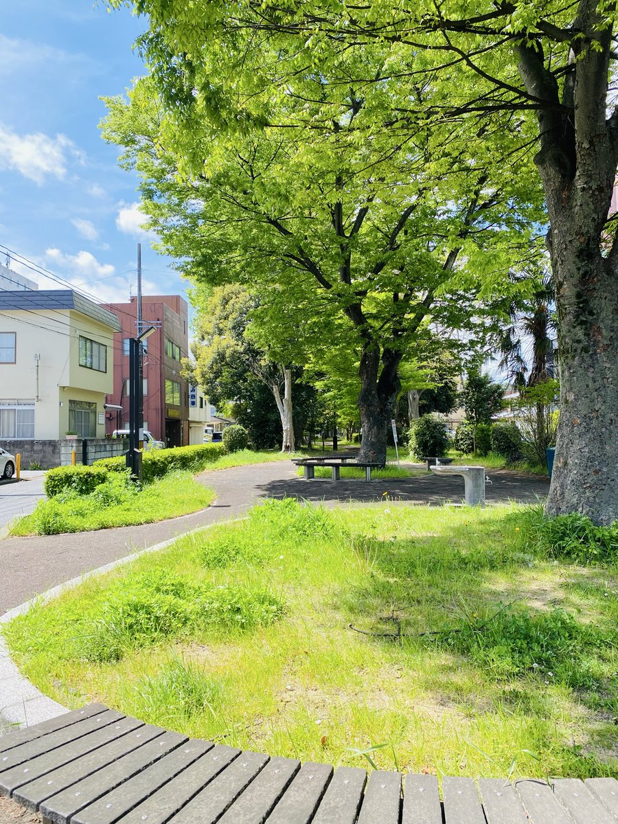 Youhei tweet media
