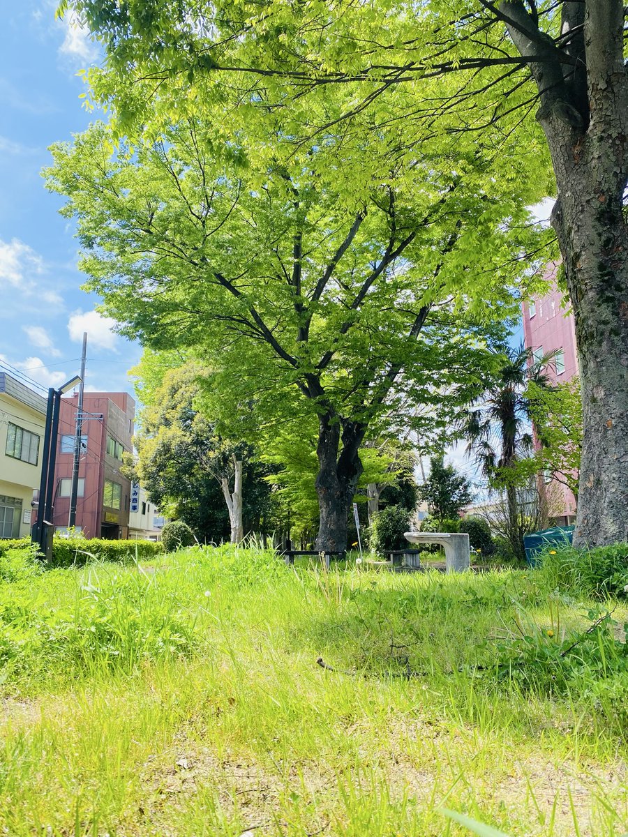 Youhei tweet media