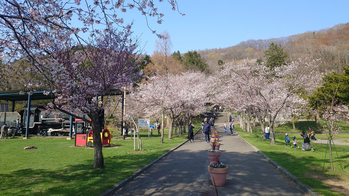 今日も懲りずに桜見物をするw