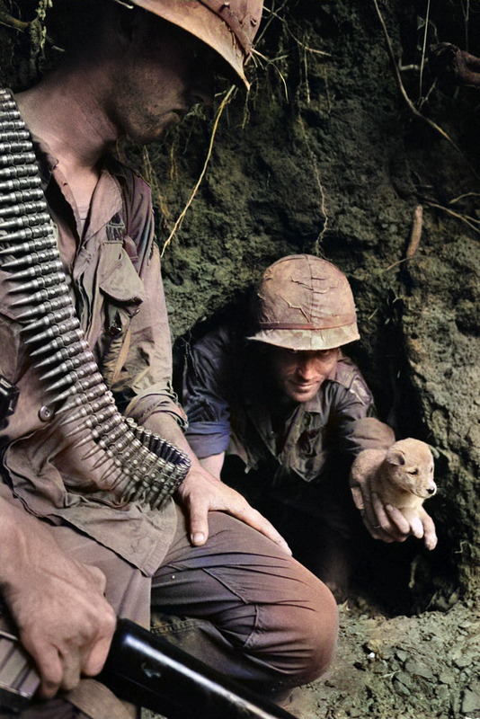 Voices From Nam tweet media