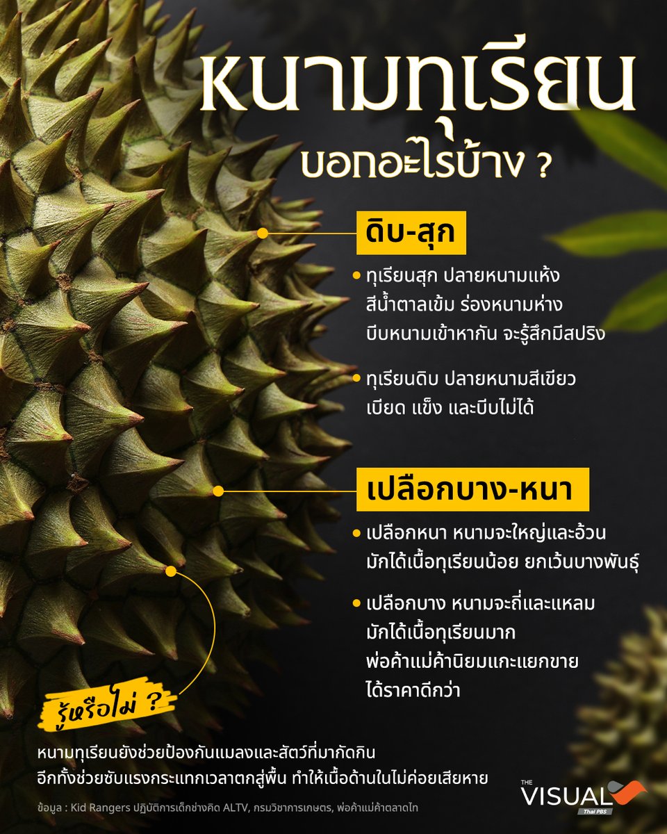 Thai PBS tweet media