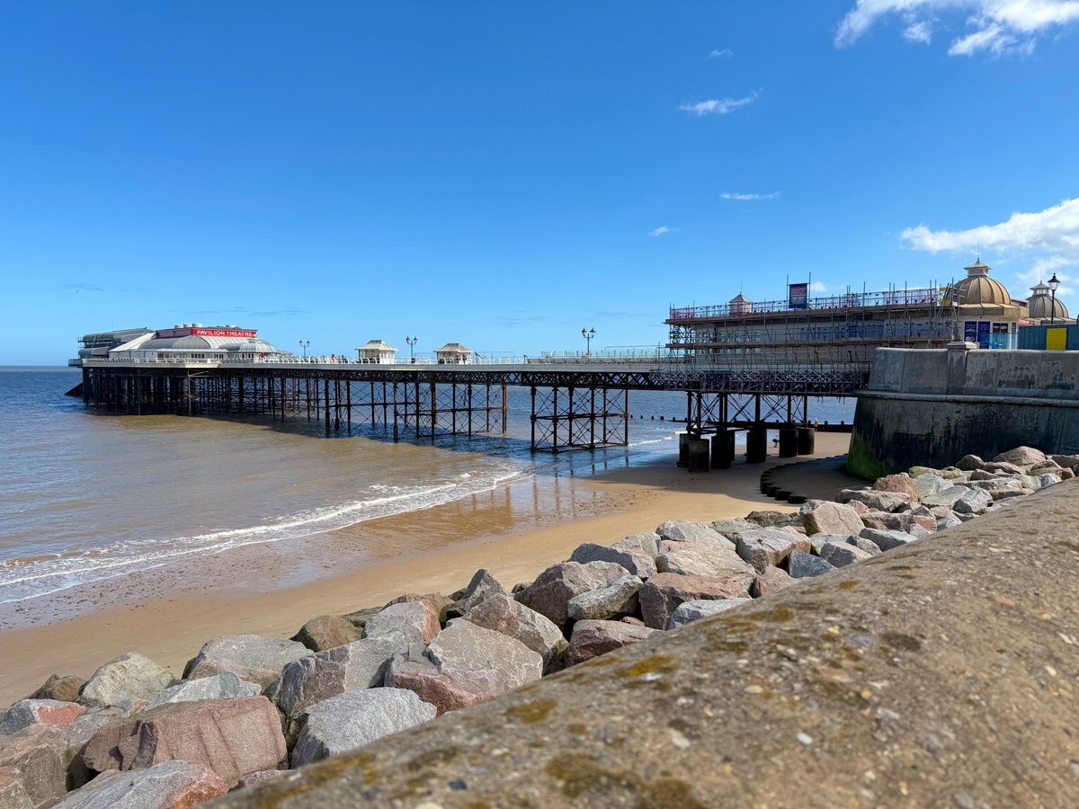 Driftwood By Sea tweet media