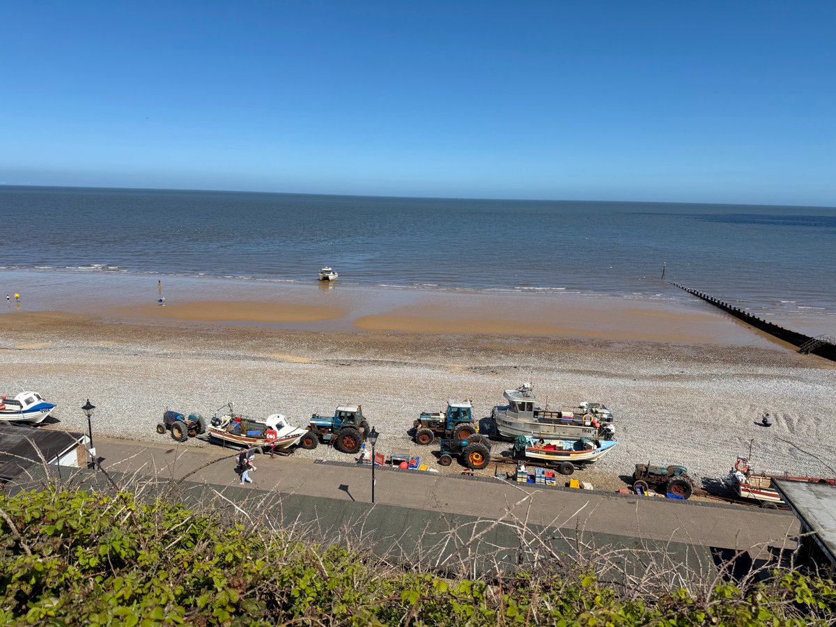 Driftwood By Sea tweet media