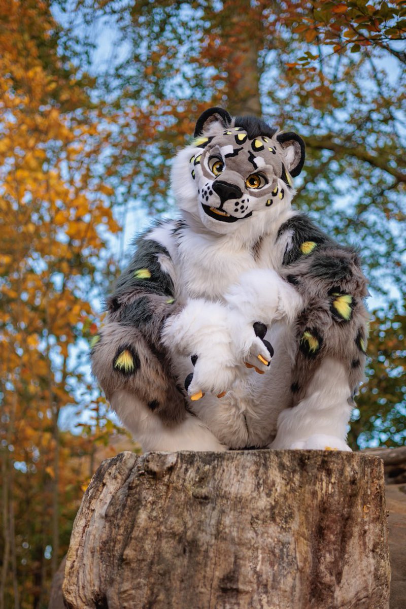 Akoro_snep's tweet photo. Mowning https://t.co/TEVpoBYqAj