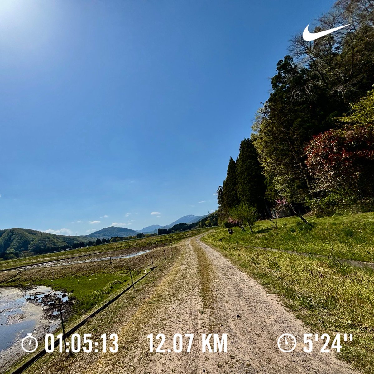 sep_kenken's tweet image. SLOW JOG ✔︎
A slow and steady 65-minute run on uneven terrain.

Workout total＝Run →1874 times

#nike #running #vomero18 #japan #nikerunner #slowjog #走れる事に感謝 #garmin