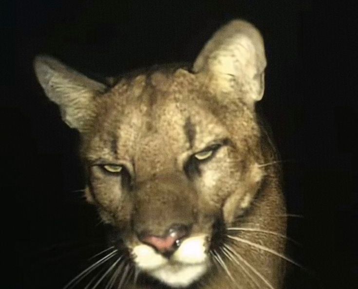 – ’𝐒 𝐄 𝐁 🖋️ , tweet media