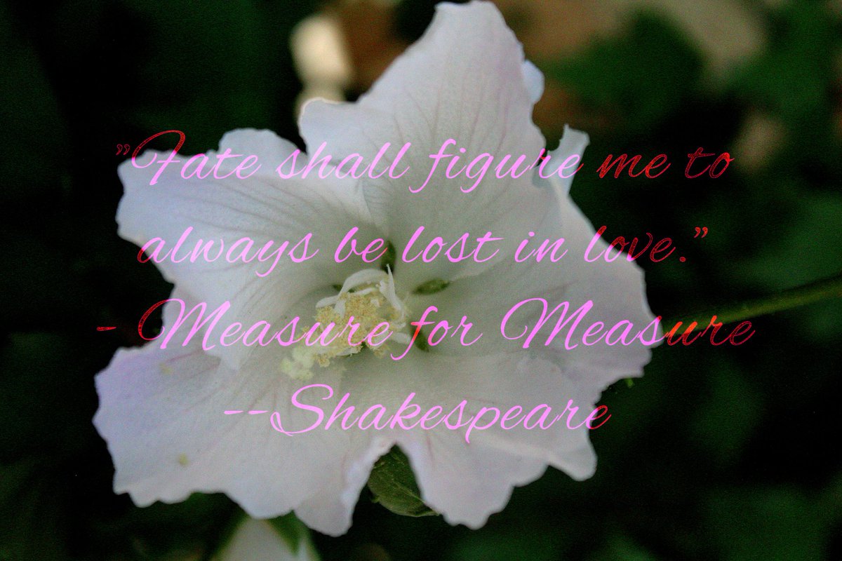 Angelia🤪 tweet media