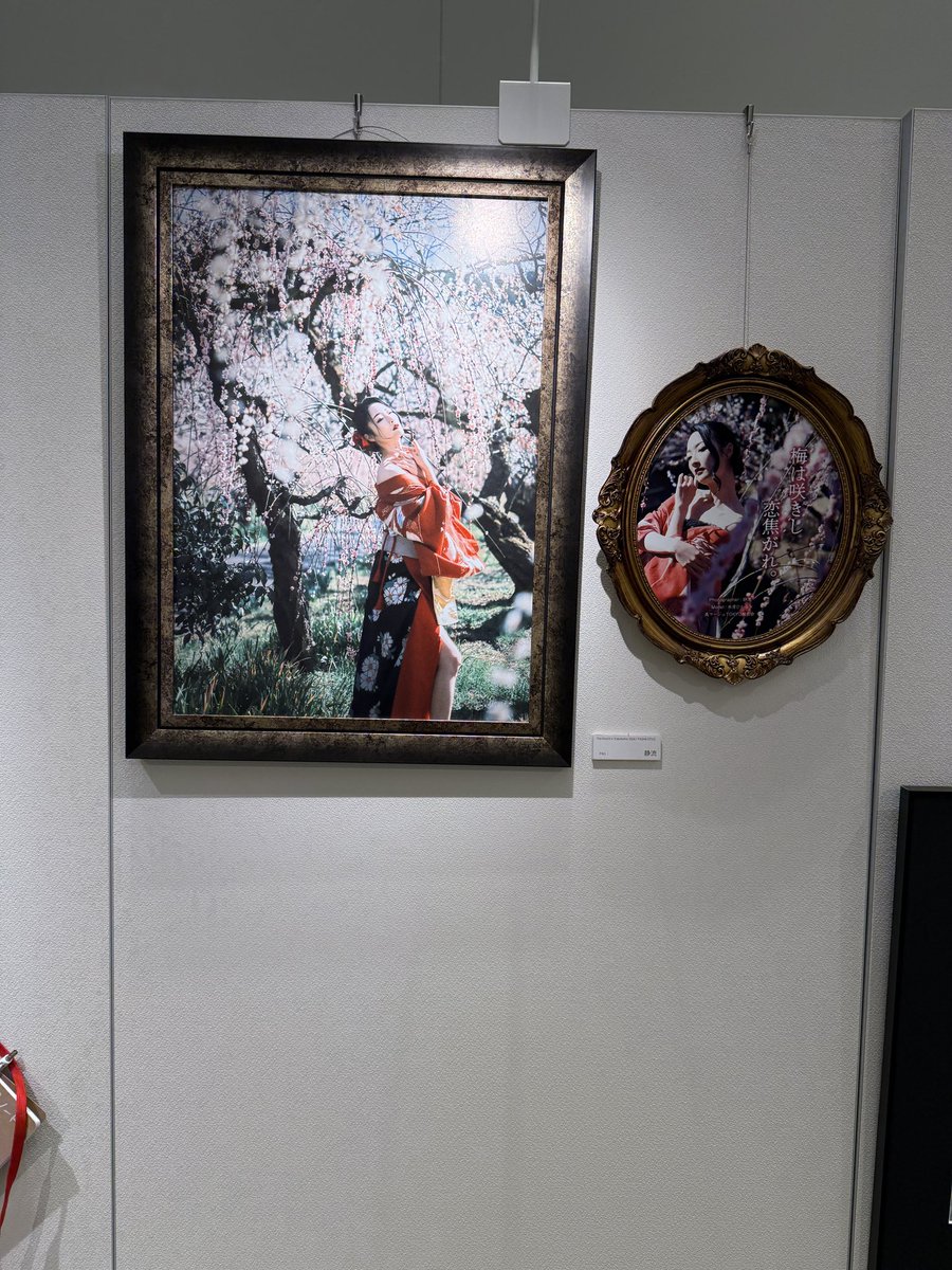 写真クリエイター : 静流 tweet media