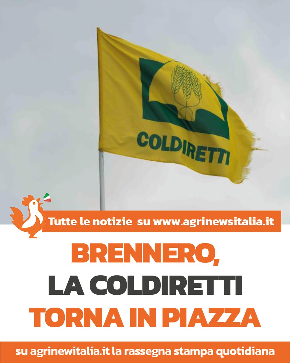 AgriNewsItalia's tweet image. Brennero: Coldiretti chiede la revisione dell’art. 60 UE sull’origine dei prodotti. tinyurl.com/2ra627e5
#MadeinItaly #agricoltura #UE #filiera