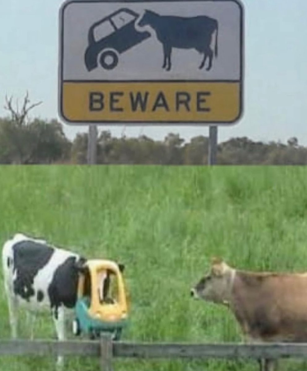 i like food (@messedupfoods) on Twitter photo 