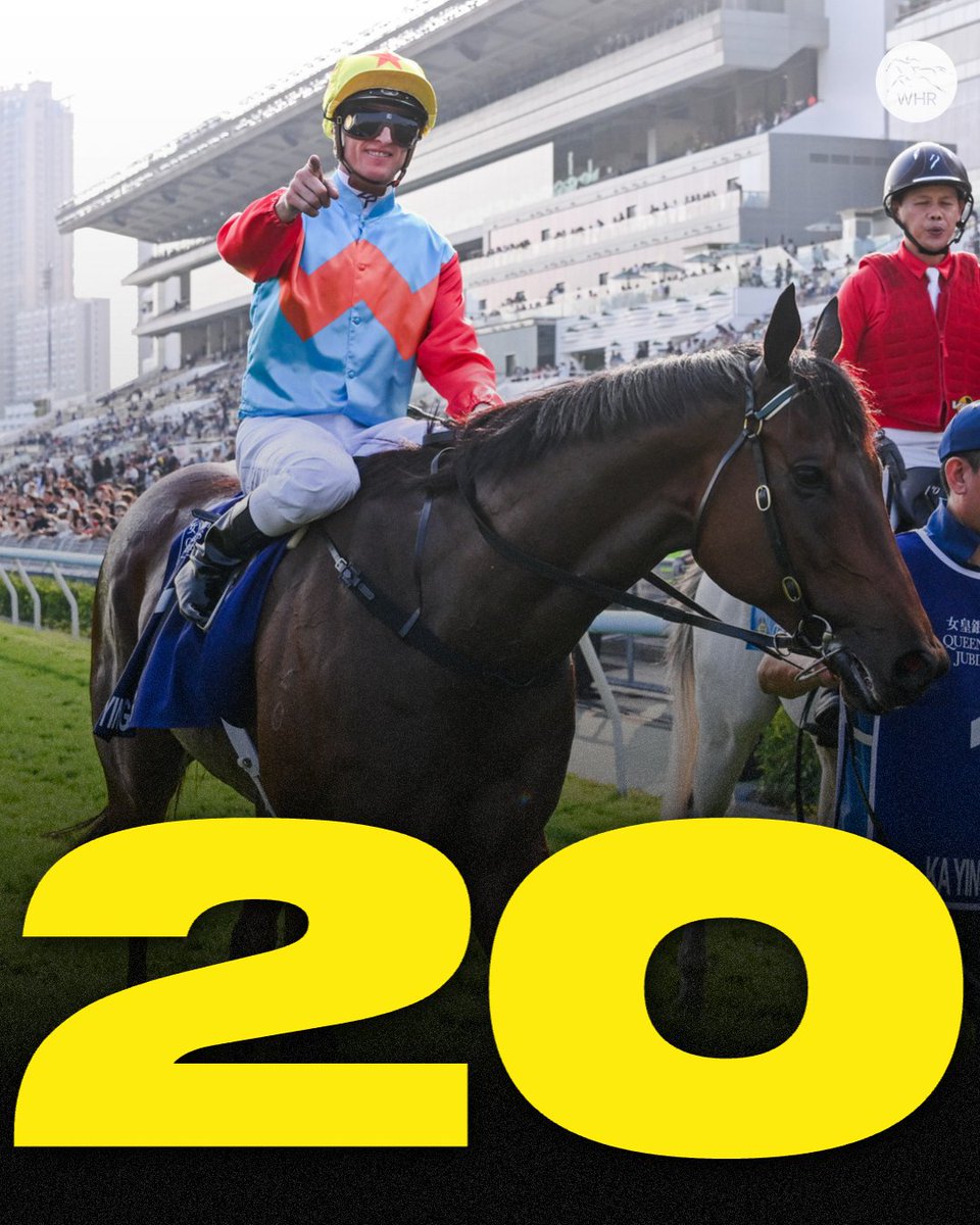 World Horse Racing tweet media