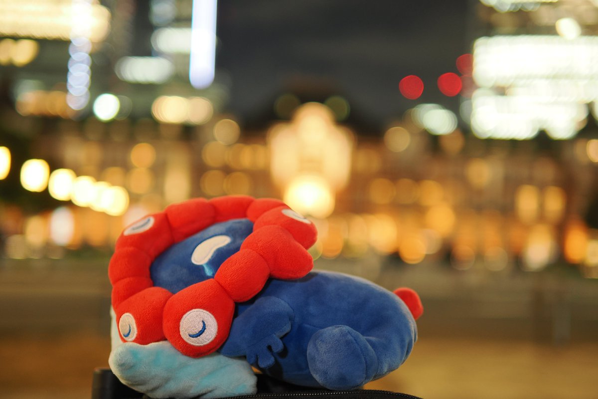 はまち!🐟写メ日記カメラマン tweet media