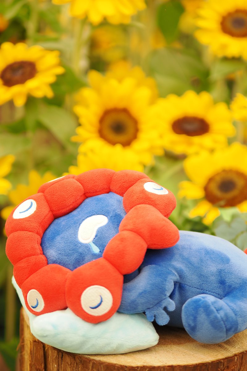 はまち!🐟写メ日記カメラマン tweet media