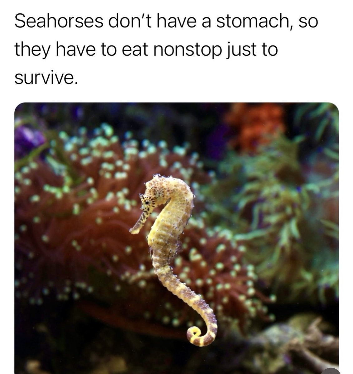 Sadie 🕊🖼️ tweet media