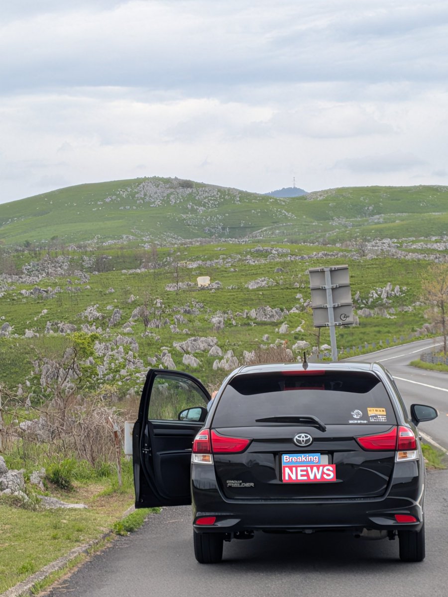 プロサクのアングラー tweet media