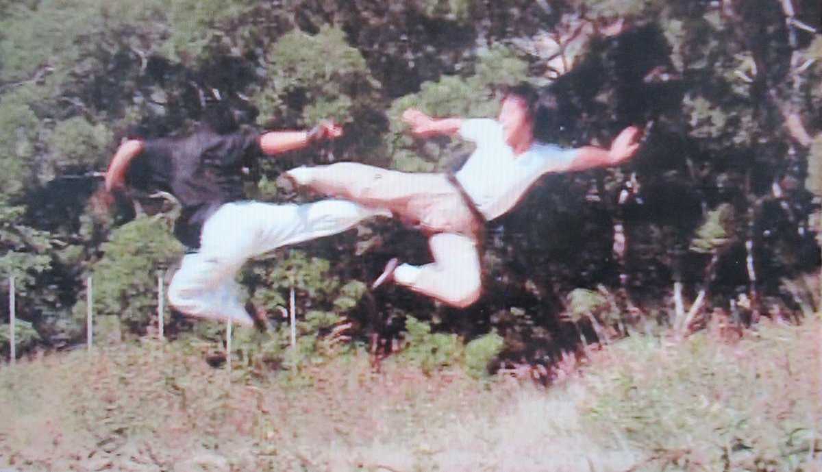 なるこう tweet media