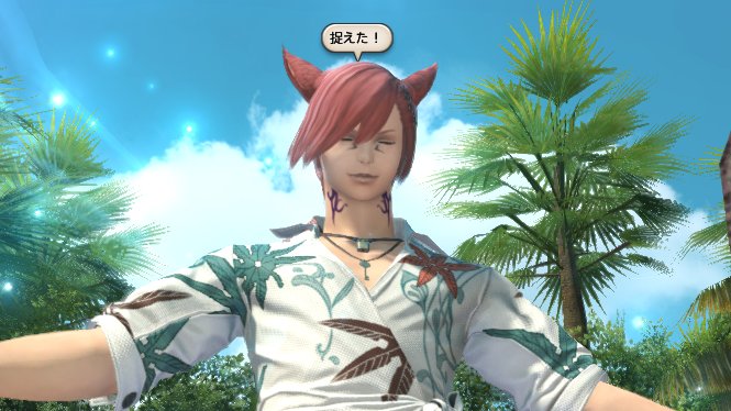 popup_ff14 tweet media