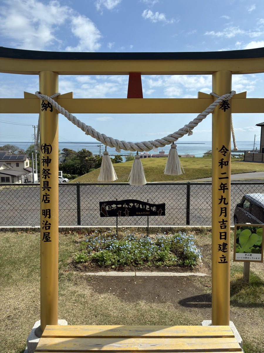 ャ'`ﾞ!@禁煙失敗ニキ🚭 tweet media