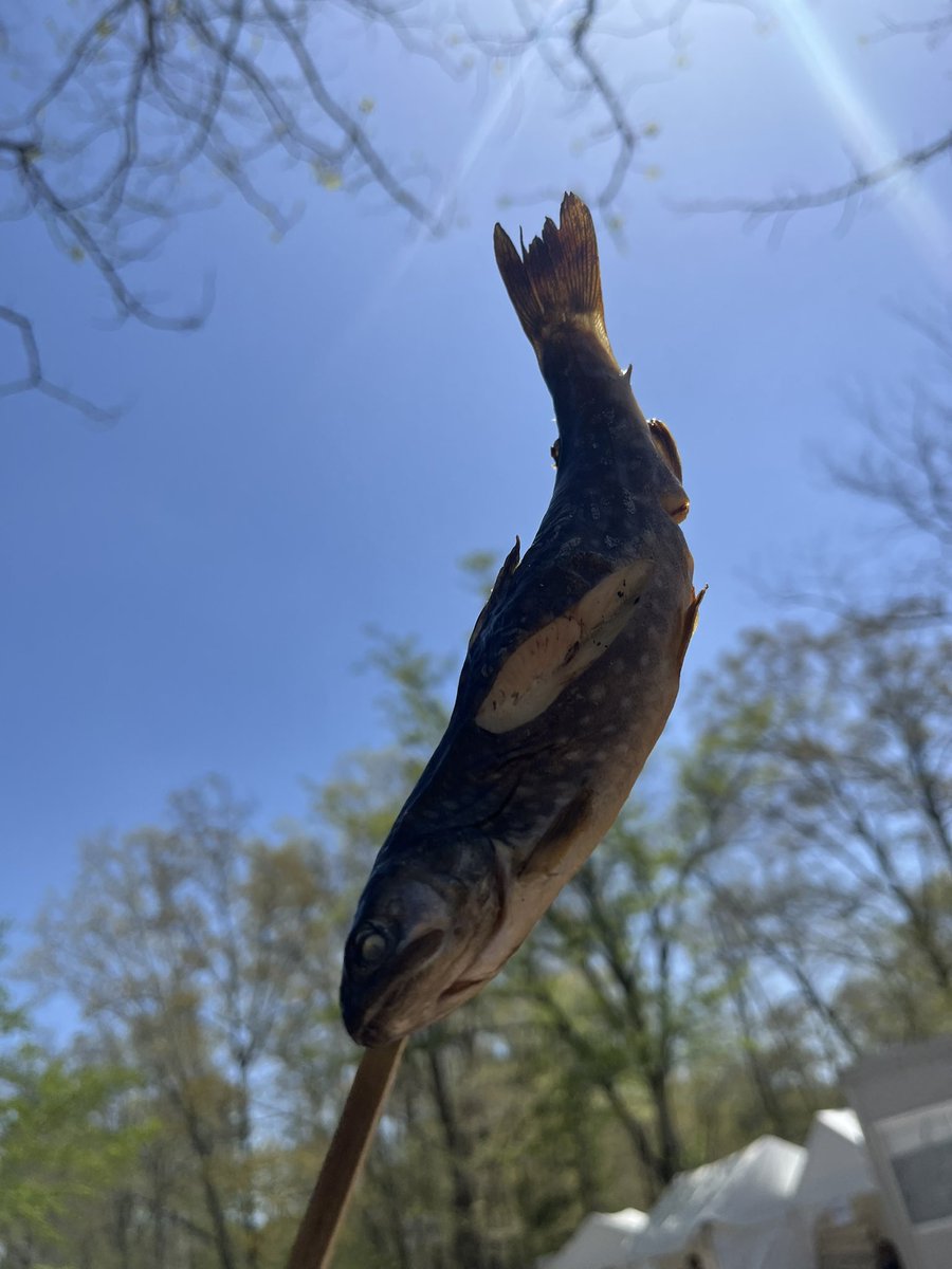 しらっち。 tweet media