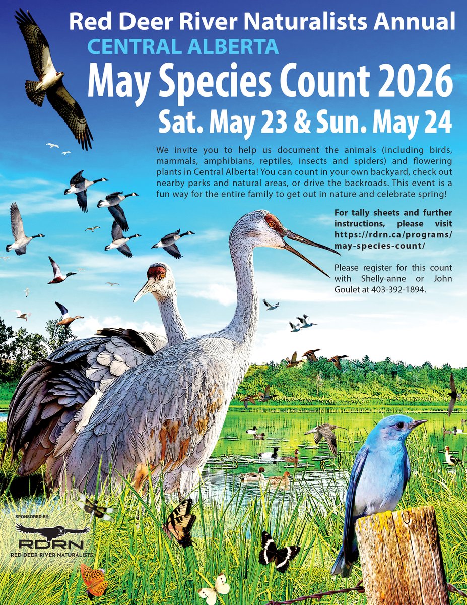 RDRN May Species Count
All living things are counted: flowers in bloom, mammals, birds, reptiles, amphibians, spiders, insects.
Count between the hours of 9:00 a.m. and 5:00 p.m. either Saturday May 23rd, 2026 Sunday May 24th , 2026 or both. Visit rdrn.ca for info