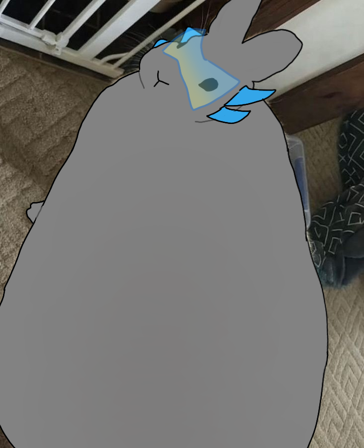 키키 tweet media