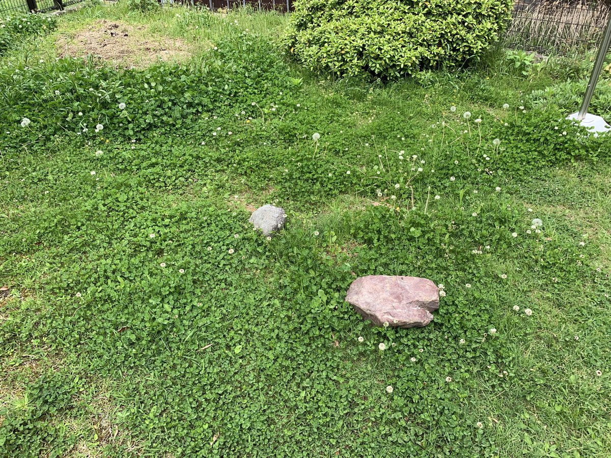 花が庭にいっぱい