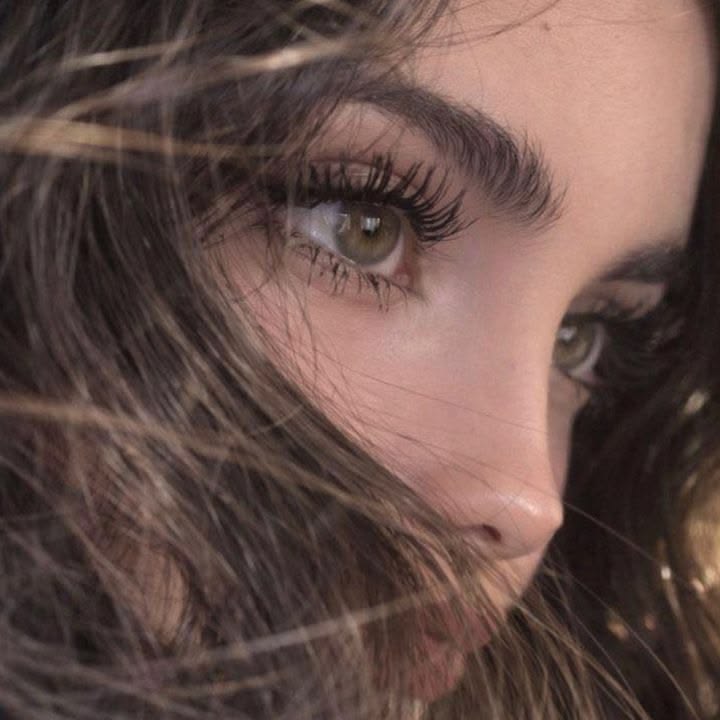 Alexander Donaldson tweet media