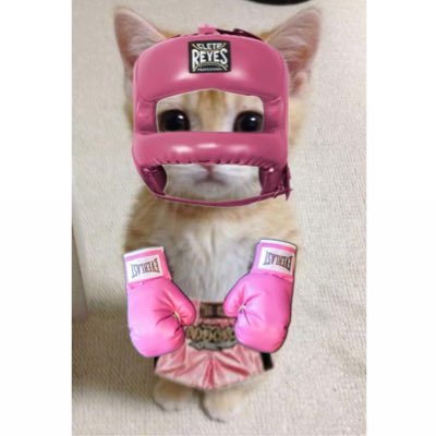 Lu Puro Team Botitas Alv 🫵🏻🥸 tweet media