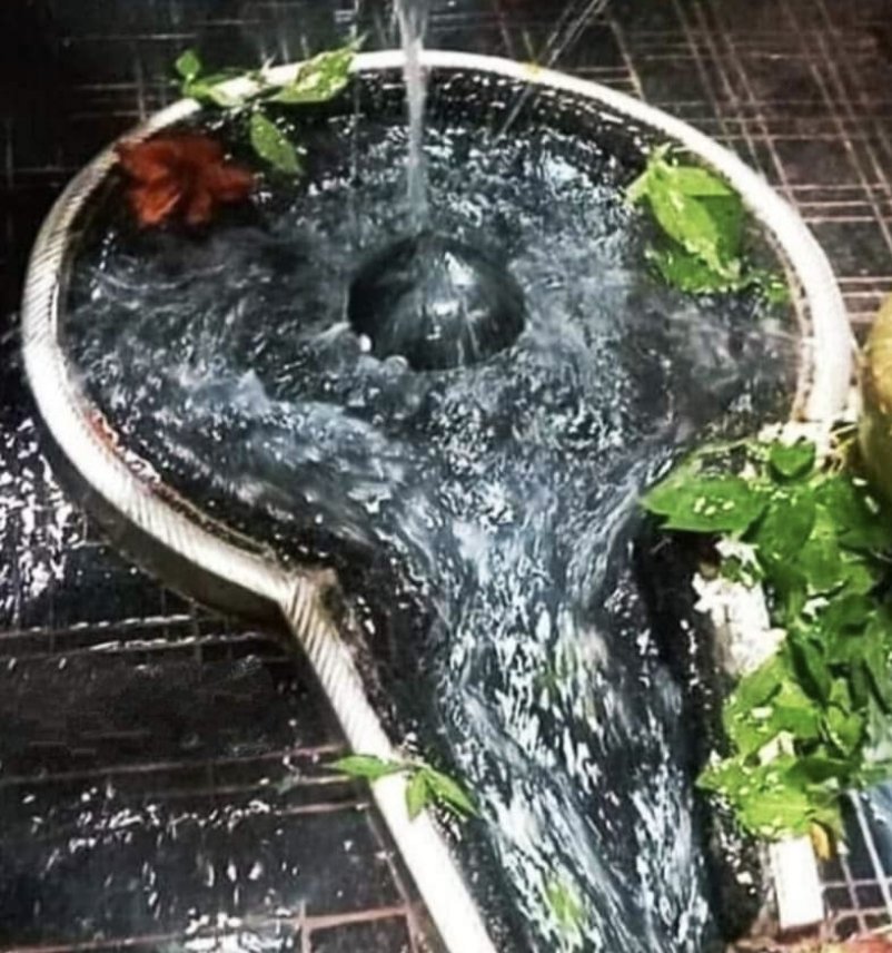 ramshankarpd11's tweet image. सिमरिया  घाट  गंगा स्नान  के पश्चात  देवघर  के लिए प्रस्थान  ।
#हर हर महादेव  🙏