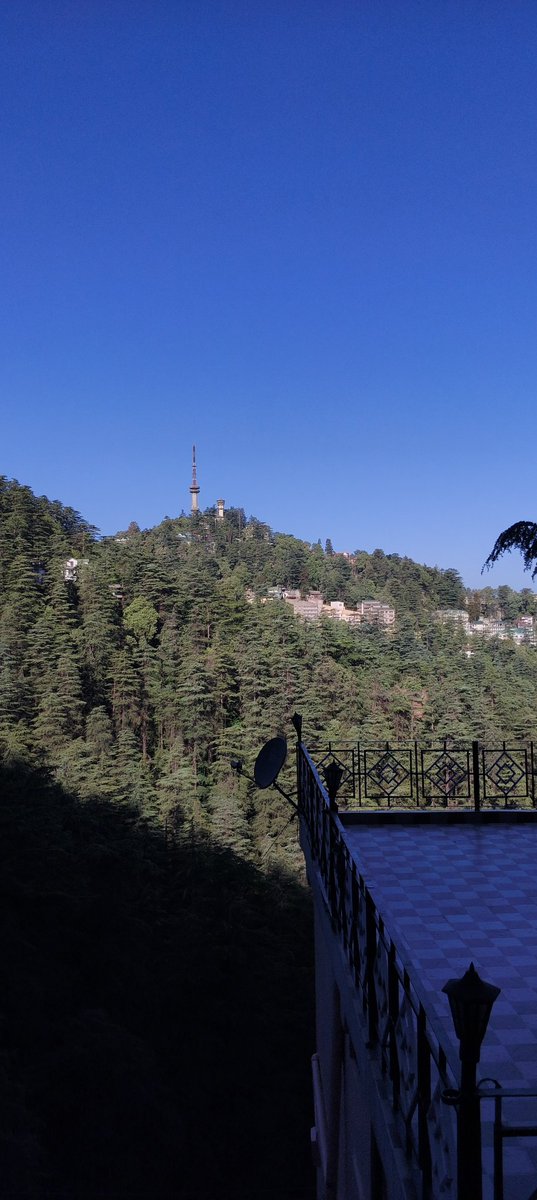 Amtthakur's tweet image. Good morning everyone 🥰

#SundayMorning #Shimla