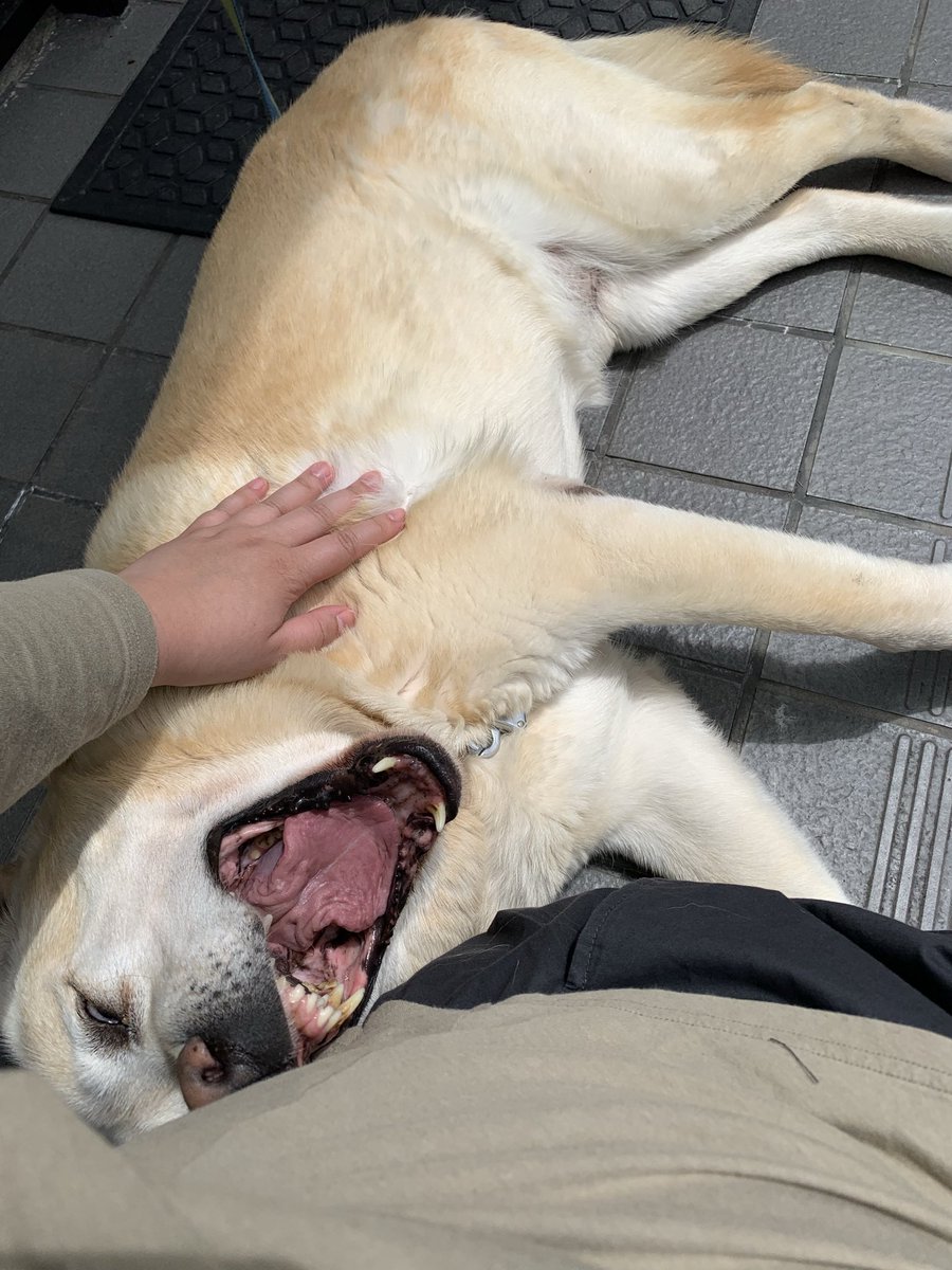 顔が怖いよ