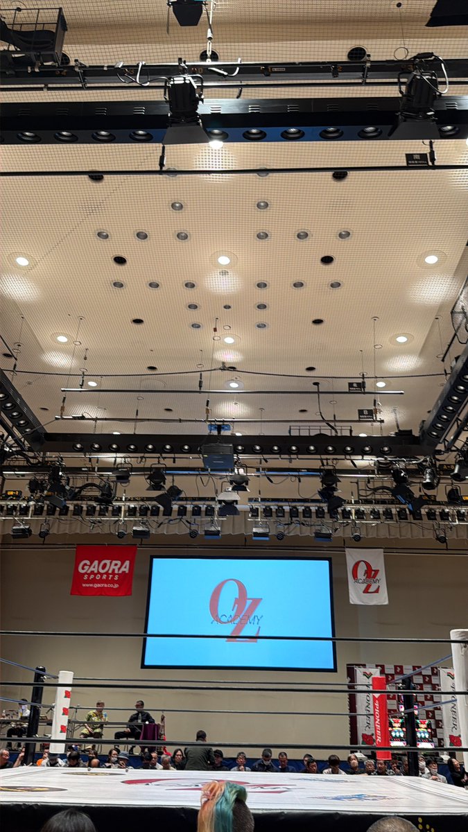 ダニー・ノリホ tweet media