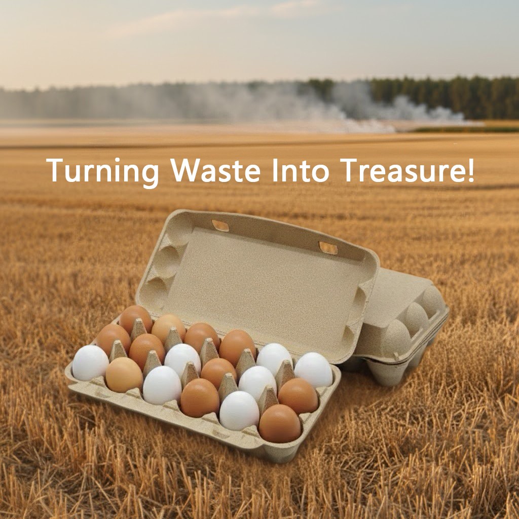 eggcarton_straw's tweet image. Farm straw to egg protector, food-grade material, shockproof &amp;amp; sturdy, green choice🥚
#UpcycledPackaging #FoodGrade #EcoEggBox #ReducePlastic #SustainableFarm #EcoLiving #FreshEggs #fyp