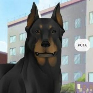 ⁴³VIT⁶³ │ IBGE do ADTWT tweet media