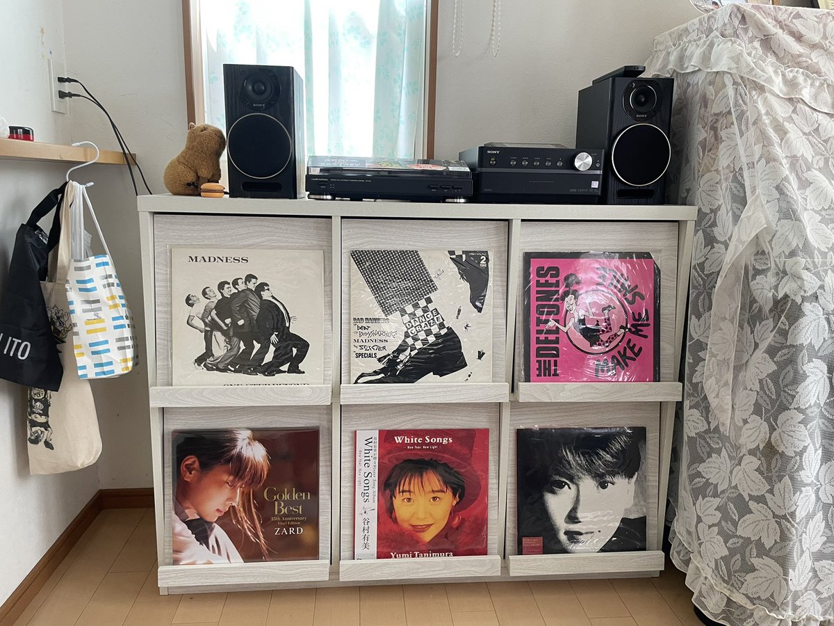 yutaka_thrasher's tweet photo. これがこう!!\(^o^)/
レコードラック買いました。
組み立てました。
腰が死にました。
SKAレコードはオシャレなジャケも込みで最高だぜー🎶
#レコード
#SKA
#森高千里
#谷村有美
#ZARD
#madness
#DELTONES https://t.co/qXIaxhl9Xu