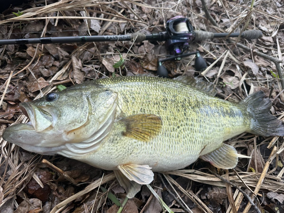 BASOTA35268368's tweet photo. いい魚が釣れました！

風強い！

場所移動！！ https://t.co/nEoN6xjBdE