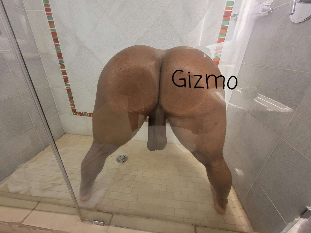 Gizmo🍑 deleted at 176k tweet media