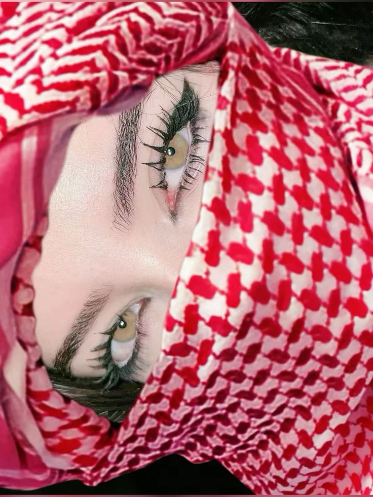 Daniel Gilmore tweet media