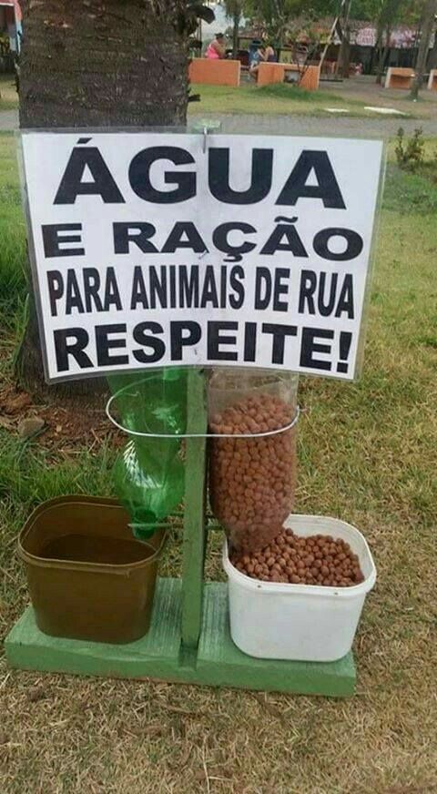 thaysilvarf's tweet photo. Que idéia maravilhosa, eu amei! Parabéns pra quem fez 👏 https://t.co/tNDx46wTGl
