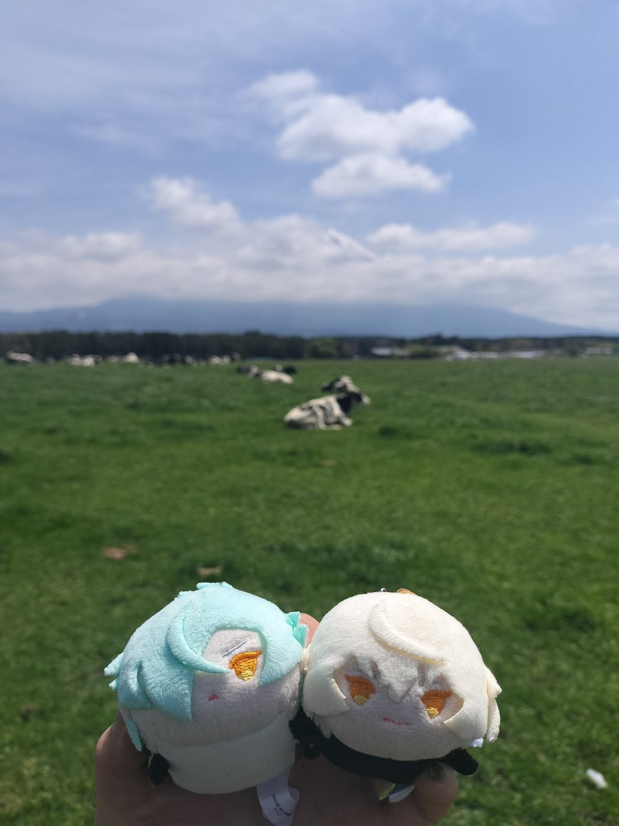 🐂🗻