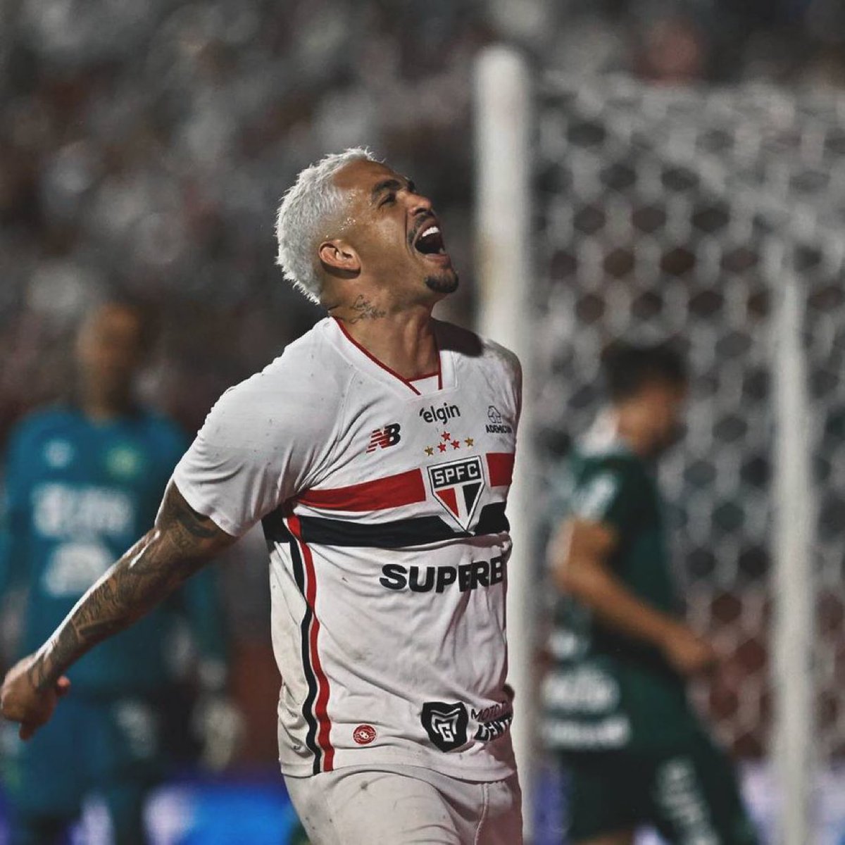 Gols do Brasileirão ⚽️🇧🇷 tweet media